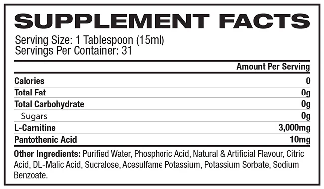 L-Carnitine 3000 by Pro Supps - Image 5